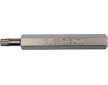 Bit 10 mm T30 x 75mm torx